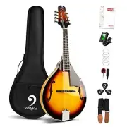 A Style Mandolin Musical Instrument Sunburst, 8 String Acoustic sunburst