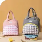 1X Adults Men Women Portable Lunch Bags Box Picnic Insulated Handbag Lunch Bags