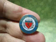 Bedford County Virginia Enameled Lapel Hat Pin - County Crest - 1754 -/ 4C