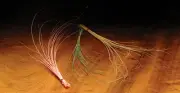 Hareline Quill Body Assorted Colors