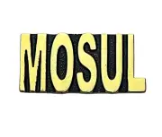 Mosul City in Iraq Veteran Hat or Lapel Pin H14545 F5D22P