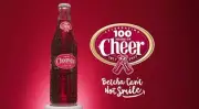 CHEERWINE 100 YEARS OF CHEER HEAVY DUTY USA MADE METAL SODA POP ADVERTISING SIGN