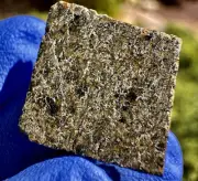 meteorite: NWA 14607 Weight 1.310 Grams.