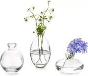 Glasseam Clear Glass Bud Vase, 3Pcs/Set Modern Decorative Small Mini Flowers Vas