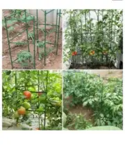 12pc /16 mm clip Stake Arms for Garden Tomato Cage Plant Growth Support Kits