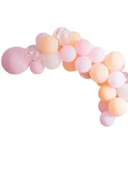 DIY Blush Pink Peach And White 60 Latex Balloon Arch Kit