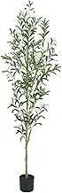 TDIAOL Artificial Olive Tree 6FT, Tall Faux Olive Trees Indoor Fake Olive Tree with Realistic Leaves and Fruits, Artificial Plants for Home Office Decor Gift