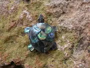 Sea Turtle Tortoise Colorful Abalone Sterling Silver 925 Pin Brooch Pendant E95
