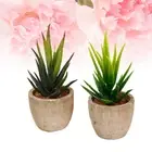 2 Pcs Simulation Succulent Potted Plant Fake Succulents Plants House Artificial