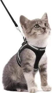 Cat Harness and Leash Set for Walking Escape Proof, Adjustable Soft Kitten Vest