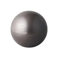 在飛比找誠品線上優惠-ELECOM Eclear瑜珈抗力球/ 55cm