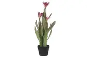 Rogue Artificial Flowering Cactus Fake Succulent Plant Potted Plant 26x78.7cm