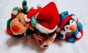 Cute soft winter critter dog toy bundle - listing is for all 3 toys