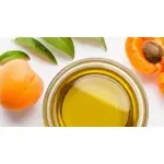 APRICOT KERNEL OIL 精製杏桃核仁油 -