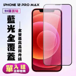 IPhone 12 PRO MAX 保護貼 買一送一 滿版黑框藍光手機保護貼(買一送一 IPhone 12 PRO MAX 保護貼)