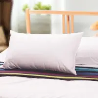 在飛比找momo購物網優惠-【Carolan】高科技薄膜防水透氣 枕用保潔墊(2入)