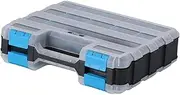 Ｂｅｓｇａ Small Parts Tool Box Double Side Tool Box Versatile with Handle Removable Partition for Nuts Fishing Tackles Screw Fasteners, blue