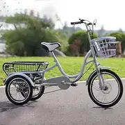 TT-YED Adult Tricycle, Adult 6-Speed Three-Wheel Bicycle with Front and Rear Detachable Wheel Basket, Low-Span Carbon Steel Frame, Adjustable Handlebar, Suitable for Women/Men/Elderly,Silver