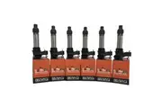 Pack of SWAN Ignition Coils & NGK Spark Plugs Holden Commodore (VE/VF)