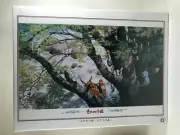1000 Piece Princess Mononoke Jigsaw Puzzle - Studio Ghibli - Ensky Japanese