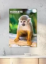 Monkeys Calendar 2026