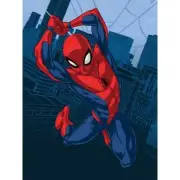 Spider-Man City Swing Baby Raschel Blanket 40" x 50" by Marvel