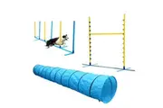 Agility Training Set for Dogs with Tunnel