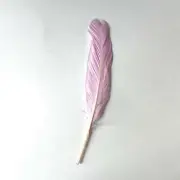 Goose Pointer Feathers 10 grams - Bright Lilac ((SECONDS))