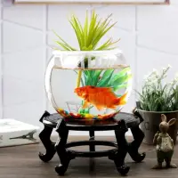 在飛比找momo購物網優惠-【JEN】透明玻璃圓形魚缸高18cm口徑13.5cm肚徑23