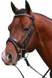 Showcraft-Luciana Double Jewelled Hanoverian Bridle Black Leather Pony Cob Full