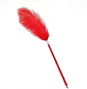 Sexy Feather Stick Tickling Erotic Torture Tool Sexy BDSM Tease Teather Stick Sex Whip Sex Toy for Couples