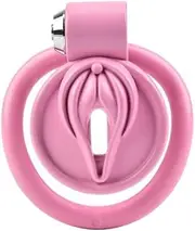 Chastity Cage Chastity Lock Sm Bondage Training Penis Cage For Male Resin Cock Cage With 5 Sizes Rings Pink