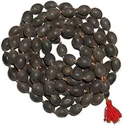 Yuktha Eternals Lotus Seed Kamal Gatta Japa Mala 108+1 Rosary Beads Hindu Yoga Meditation Subha for Lakshmi Pooja
