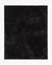 245' x 305' | Machine Washable Runner Rug | Kid & Pet Friendly | Indoor Rug | Ink Black Plush Rug | Ruggable