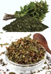 100% Pure Organic 50 Holy Basil Leaves, Sun Dried Premium Ocimum Sanctum Tulsi