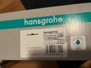 Hansgrohe Raindance E300 26239821 Showerhead