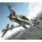 【魚塘小舖】二戰 拼裝 飛機模型 1/48 美軍 F6F地獄貓戰鬥機 軍事模型 公仔