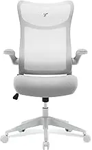TT Airflex V2 Ergochair Mesh Office Chair Ergonomic Chair (Ashy Grey)