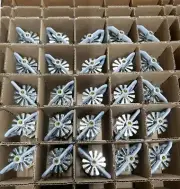 Box of 50 - 212*F ESFR K=22.4 Pendant 1" NPT Fire Sprinkler Head Reliable HL 22