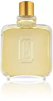 Paul Sebastian Cologne for Men, 8.0 Fluid Ounce SPLASH