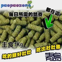 在飛比找蝦皮購物優惠-【新莊/五股/青島水族】台灣paopaozone泡泡龍 寵愛