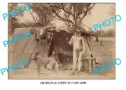 OLD AUST ABORIGINAL 8x6 PHOTO CHIEF AT CAMP c1900
