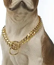 Golden Dog Chain Collar, 10mm Cuban Chain Dog Collar, Stainless Steel Metal P Chain Collar Heavy Duty Anti-chew Walking Training Chain Collar for Small and Medium Dogs (Size : 12 inches)