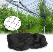 Bird Netting Net Anti Pest Commercial Fruit Trees Plant 10m*10m Mesh Black