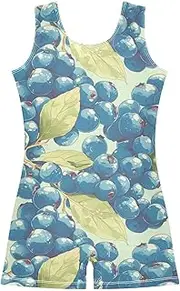 [FRODOTGV] Watercolor Blueberries Girls' Gymnastics Leotards Toddlers Tumbling Outfit for Training, Yoga, Tumbling