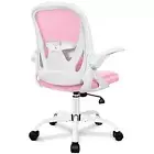 Office Chair Ergonomic Desk Chair with Adjustable Lumbar Support and Pink