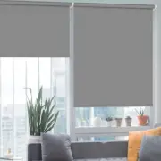 NEW,Roller Shades for Windows Blackout Roller , #H531624-116
