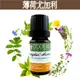 《歐丹尼》南非【薄荷尤加利純精油10ml-50ml】Eucalyptus Peppermint 單方純精油《歐丹尼》