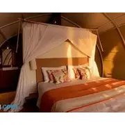 Floating Jungloo