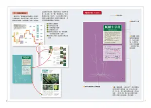 蕨類觀察圖鑑1：基礎常見篇